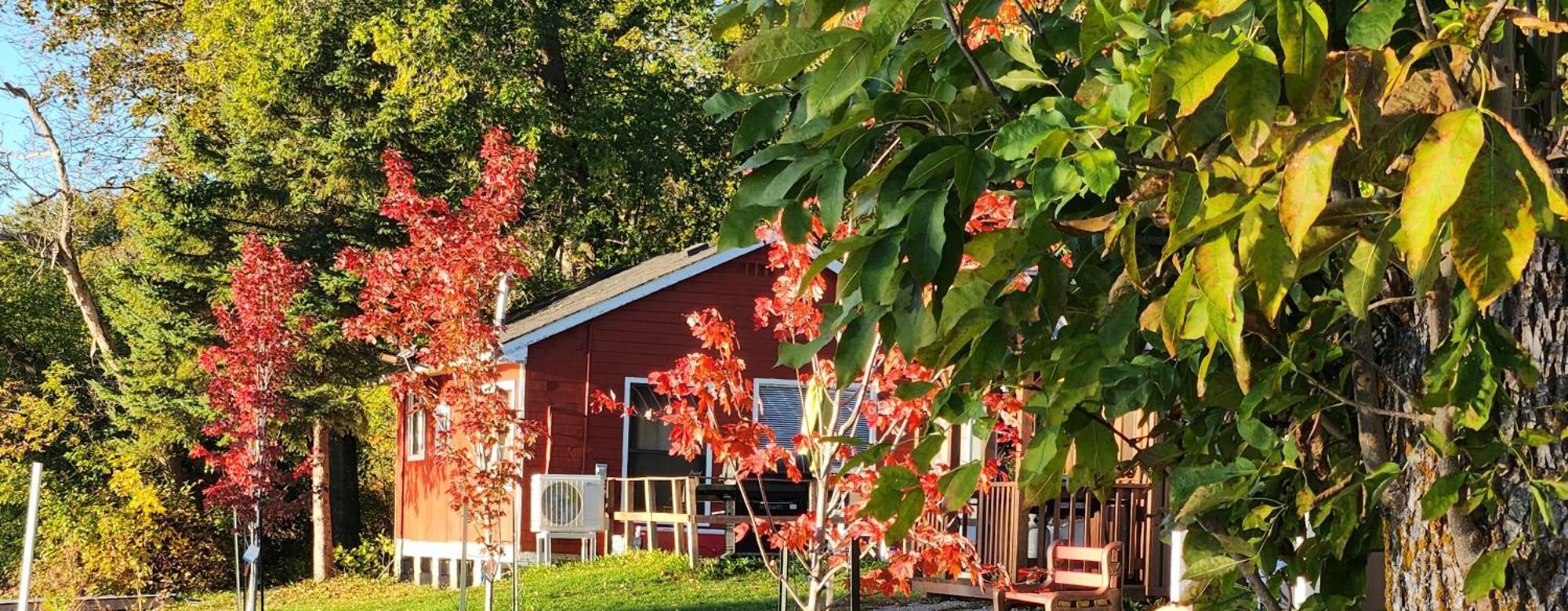 Trent River Cottages Hastings Екстериор снимка